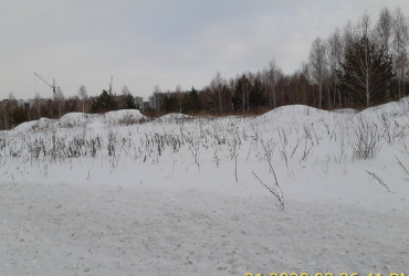 февраль, 2020, фото 1