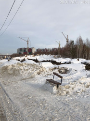 январь, 2021, фото 3